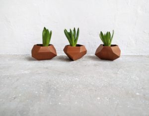 Im Holz gedeiht es – Töpfe aus Furnierholz